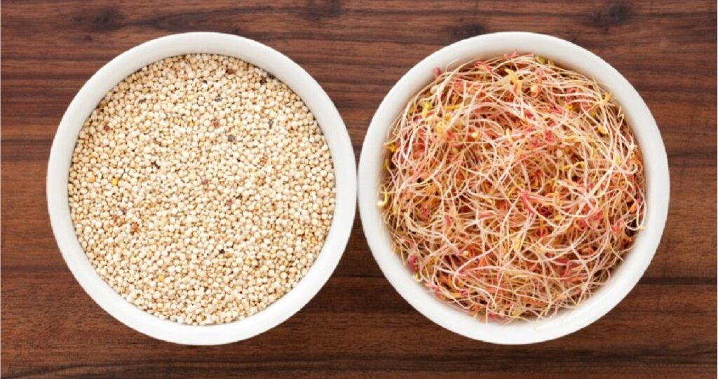 rom Grain to Superfood: How Sprouting Quinoa Can Elevate Your Health